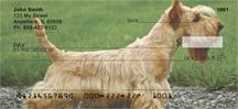 Scottish Terriers