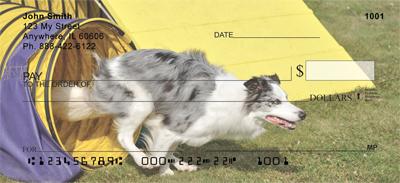 Australian Shepherds