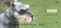 Miniature Schnauzers