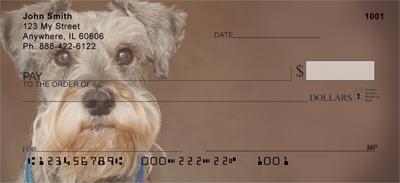 Miniature Schnauzers