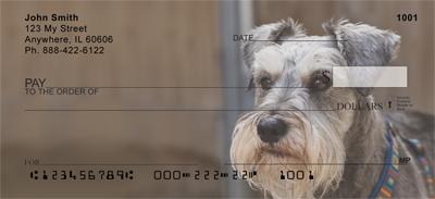Miniature Schnauzers