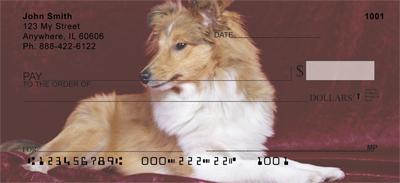 Shetland Sheepdogs