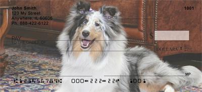 Shetland Sheepdogs