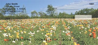 Fields of Flowers