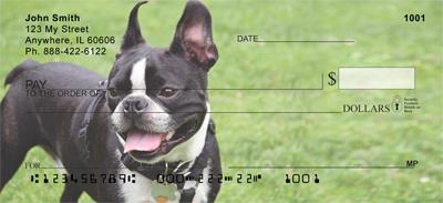 French Bulldogs