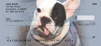 French Bulldogs
