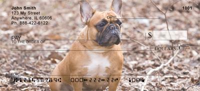 French Bulldogs