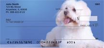 Maltese