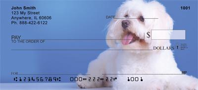 Maltese