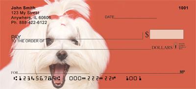 Maltese