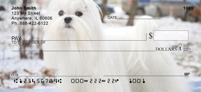 Maltese