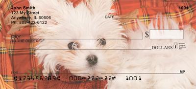 Maltese
