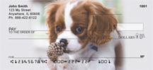 Cavalier King Charles Spaniels
