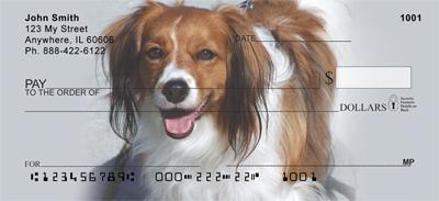 Cavalier King Charles Spaniels