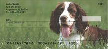 Springer Spaniels