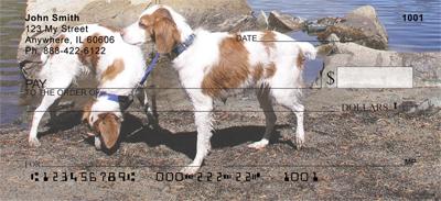 Brittany Spaniels