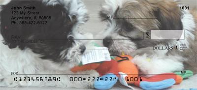 Havanese