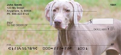 Weimaraners