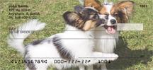 Papillons
