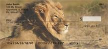 Safari