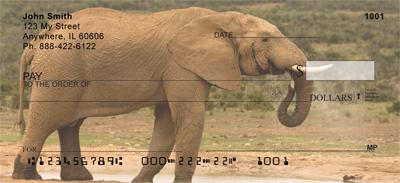 Safari