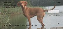 Vizslas