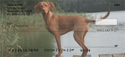 Vizslas