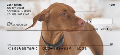 Vizslas