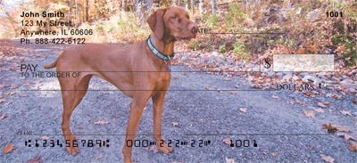 Vizslas