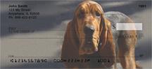 Bloodhounds