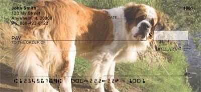 Saint Bernards