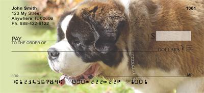 Saint Bernards