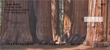 National Parks III