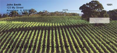 Sprawling Vineyards