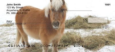 Shetland Ponies