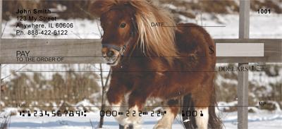 Shetland Ponies