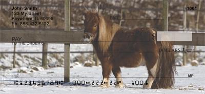 Shetland Ponies