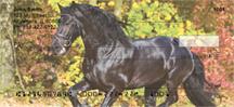 Friesian Stallions