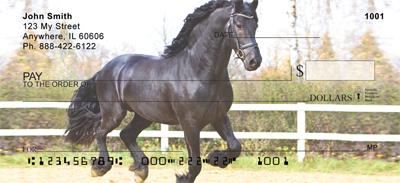 Friesian Stallions