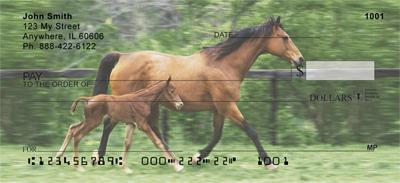 Mares and Foals