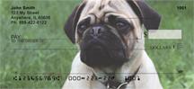 Precious Pugs