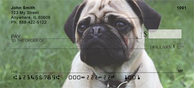 Precious Pugs