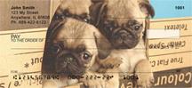 Pug Pals