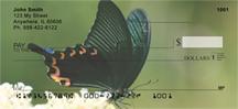 Black Swallowtails