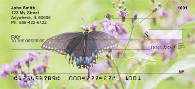 Black Swallowtails