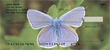 Tiny Butterflies
