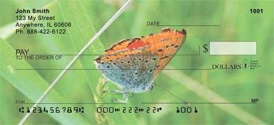 Tiny Butterflies