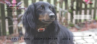 Dark Dachshunds