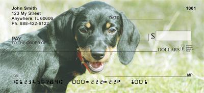 Dark Dachshunds