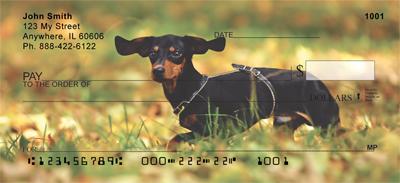 Dark Dachshunds